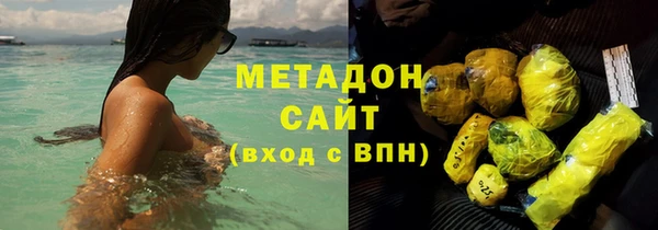 прущие грибы Белокуриха