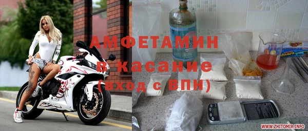прущие грибы Белокуриха
