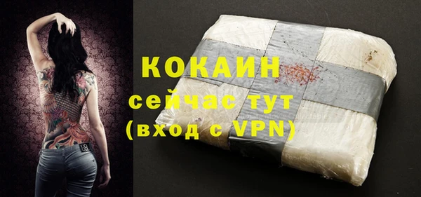 прущие грибы Белокуриха