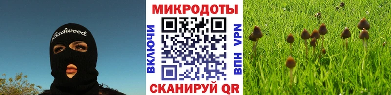 Галлюциногенные грибы ЛСД  где найти   Тихорецк 